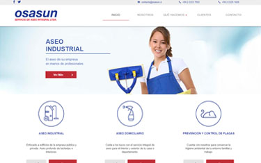 Hostito - nuestro diseño web de sitio web para osasun.cl