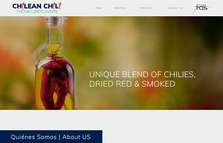 Hostito - nuestro diseño web de sitio web para chileanchili.cl